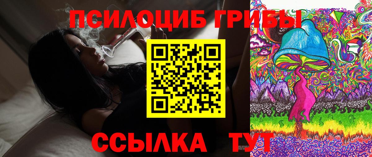 Галлюциногенные грибы Cubensis Бугуруслан