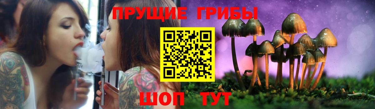 Галлюциногенные грибы Psilocybe  Псилоцибиновые грибы MAGIC MUSHROOMS  Бугуруслан  Вход с VPN 